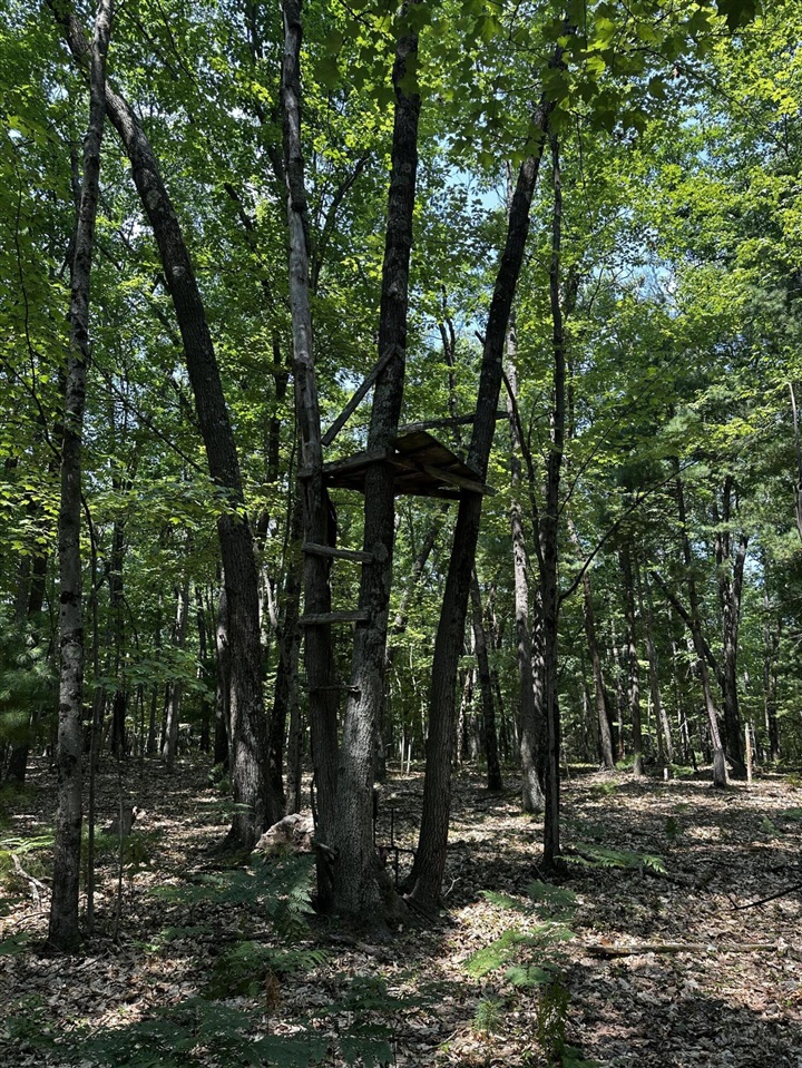 00 Vl Deer Trail Property Photo 6