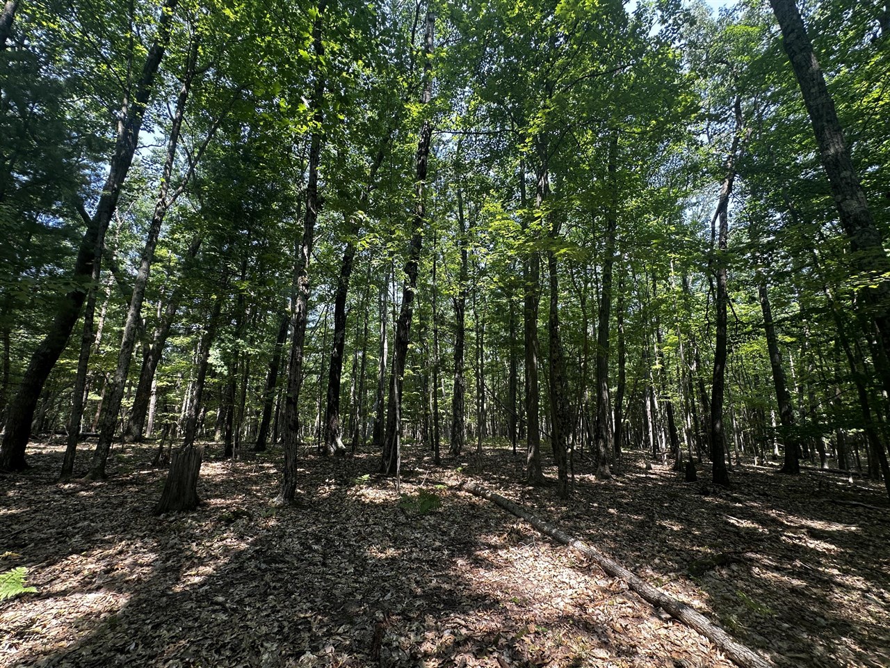 00 Vl Deer Trail Property Photo 9
