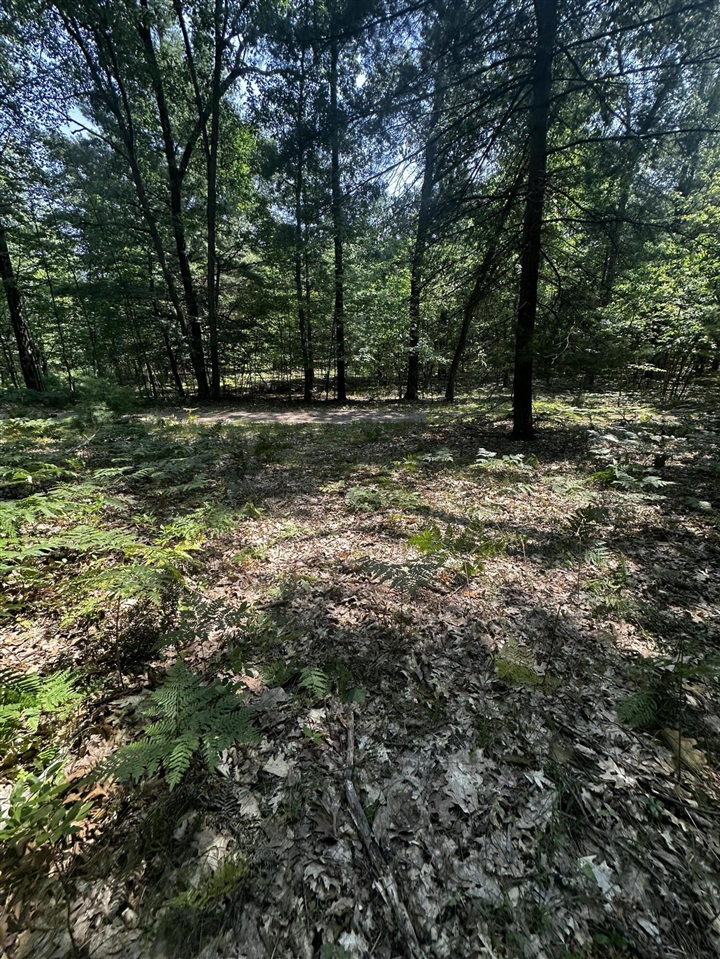 00 Vl Deer Trail Property Photo 11