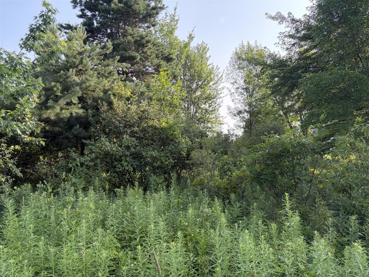 9653 52nd Avenue Property Photo 16