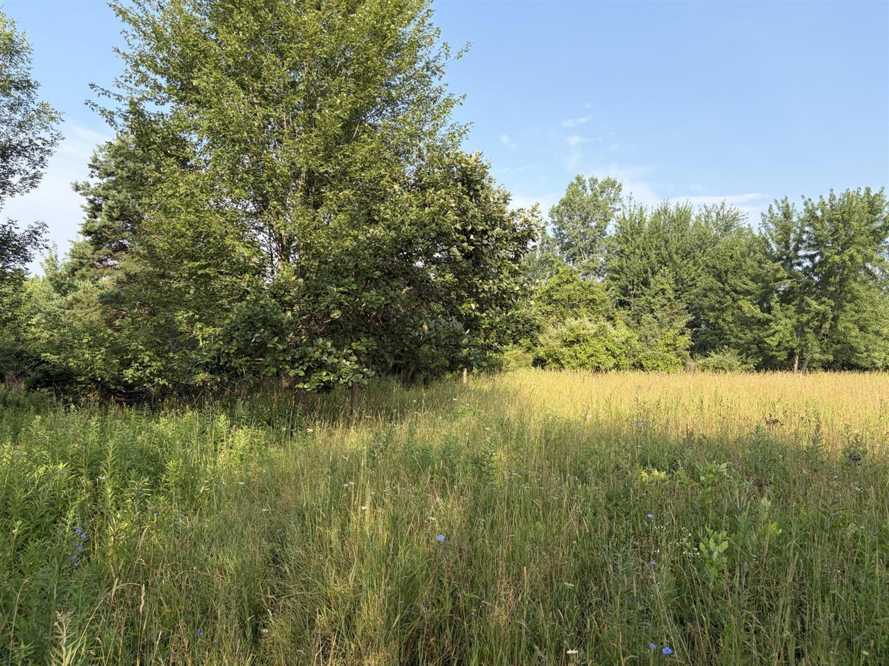 9653 52nd Avenue Property Photo 17