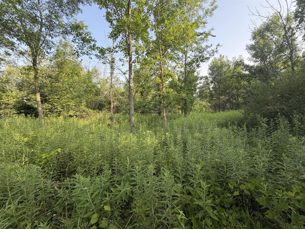 9653 52nd Avenue Property Photo 18