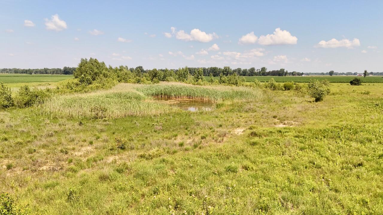 V/l W Bessinger Road Property Photo 7