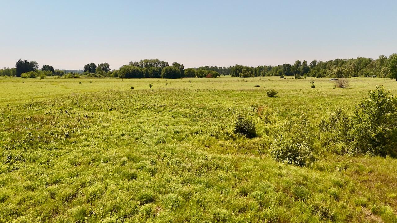 V/l W Bessinger Road Property Photo 8