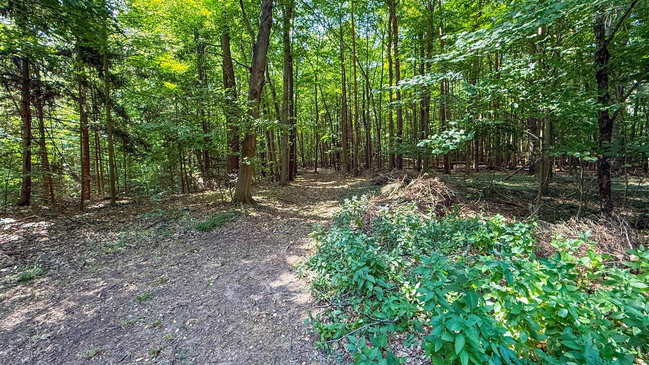 V/l Cr 388 Property Photo 27