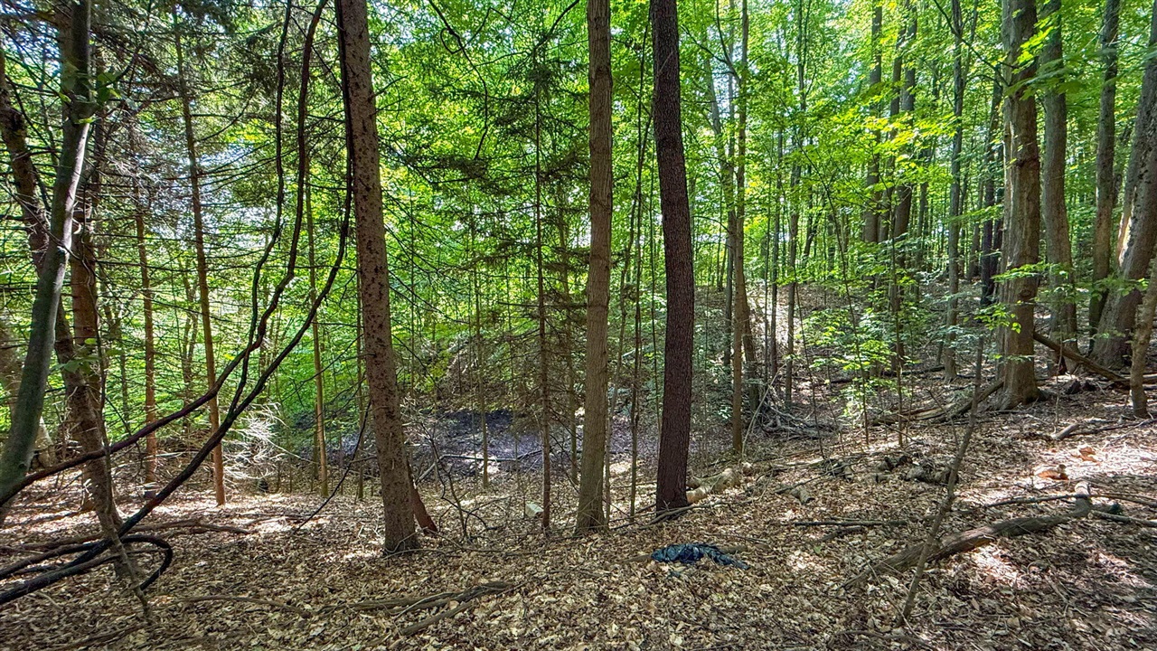 V/l Cr 388 Property Photo 29