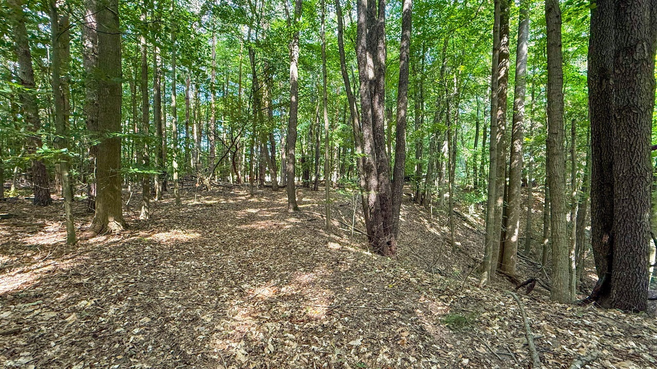 V/l Cr 388 Property Photo 33