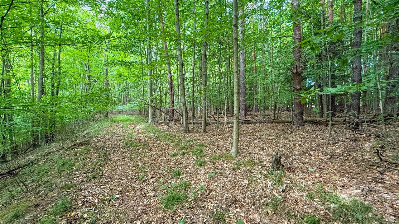 V/l Cr 388 Property Photo 44