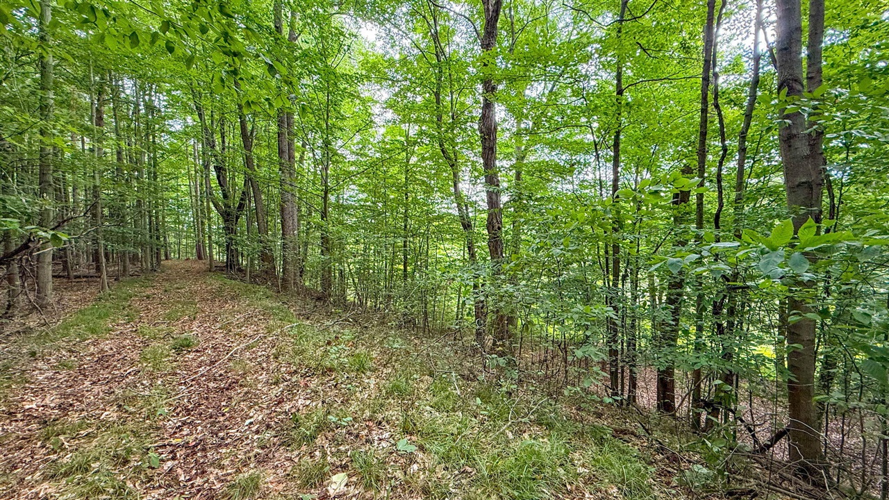 V/l Cr 388 Property Photo 45