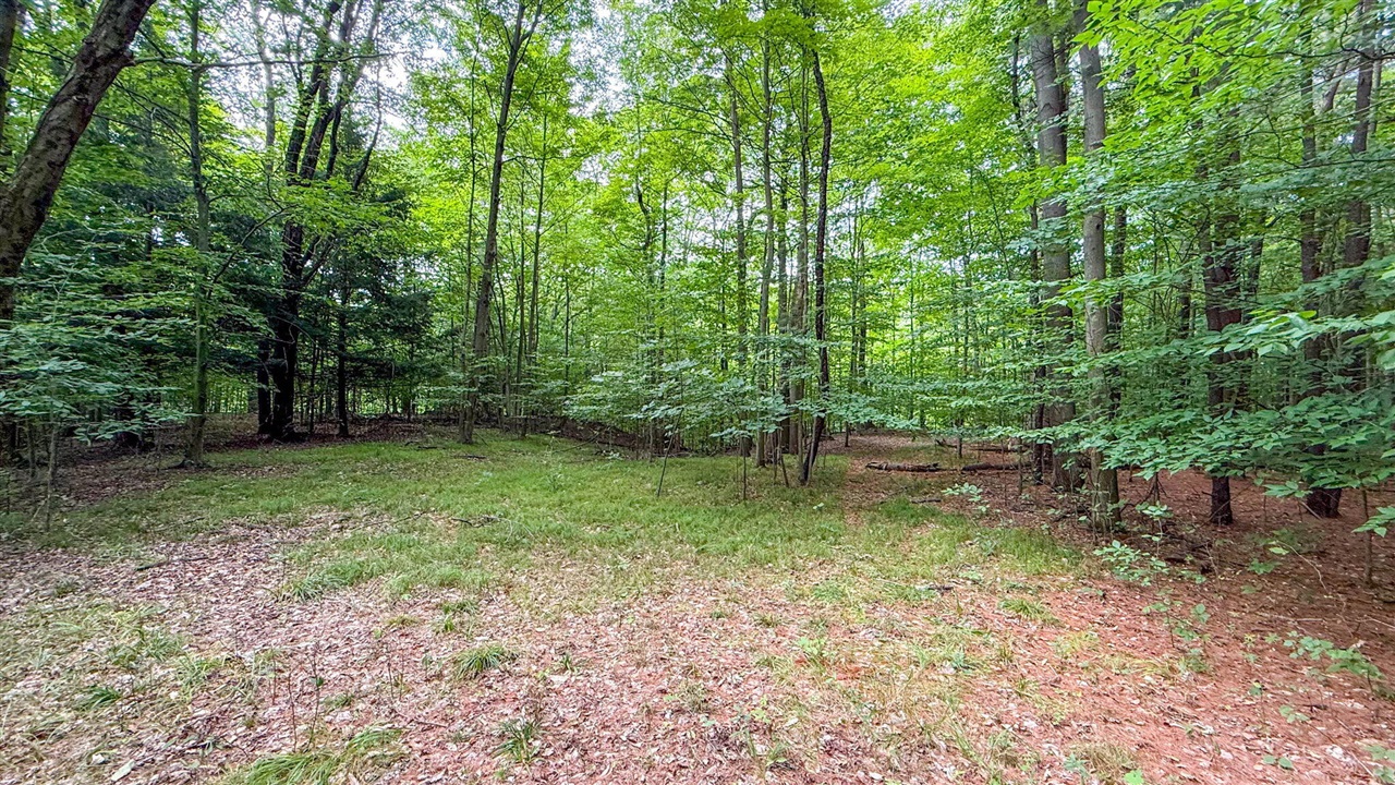 V/l Cr 388 Property Photo 49