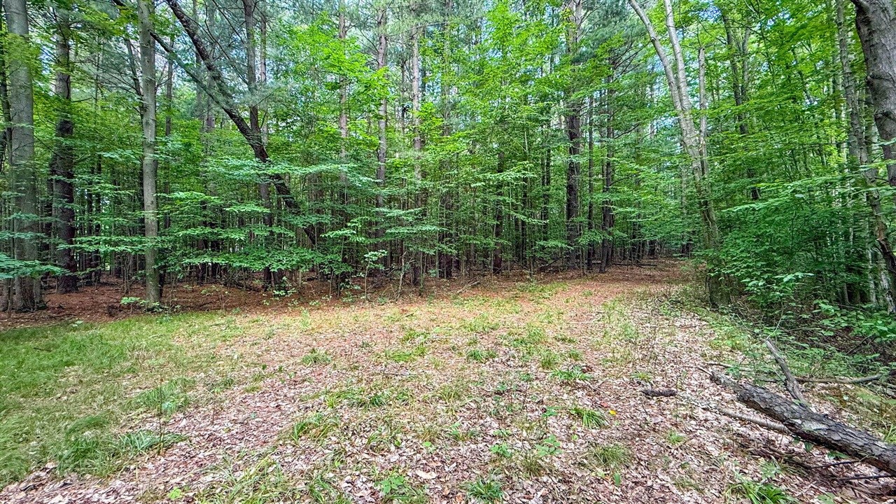 V/l Cr 388 Property Photo 52