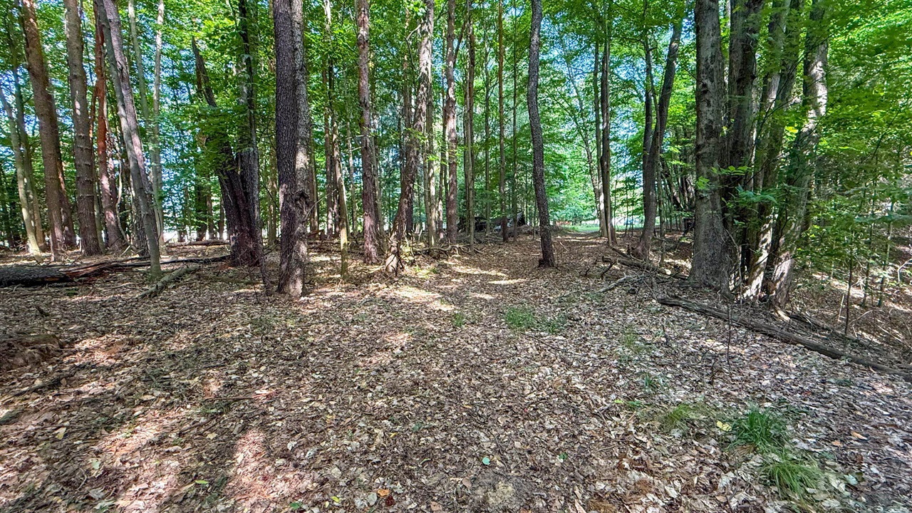 V/l Cr 388 Property Photo 56