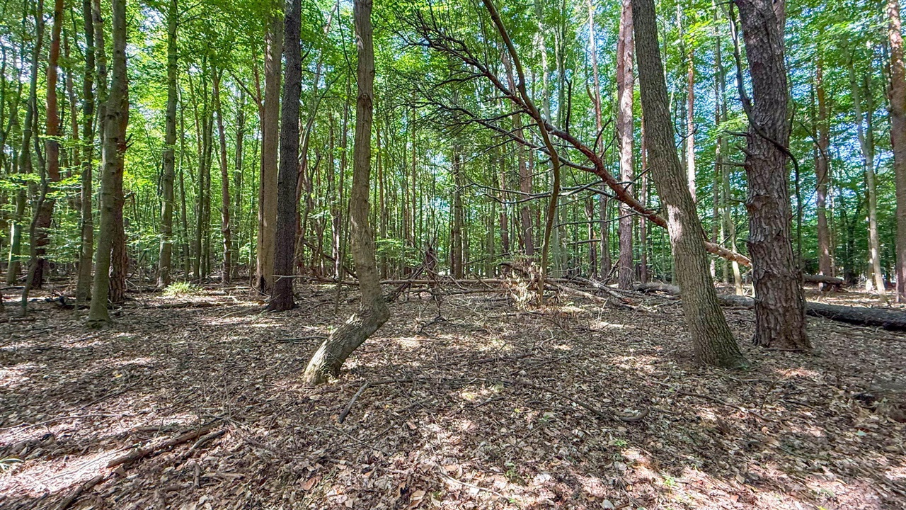 V/l Cr 388 Property Photo 57