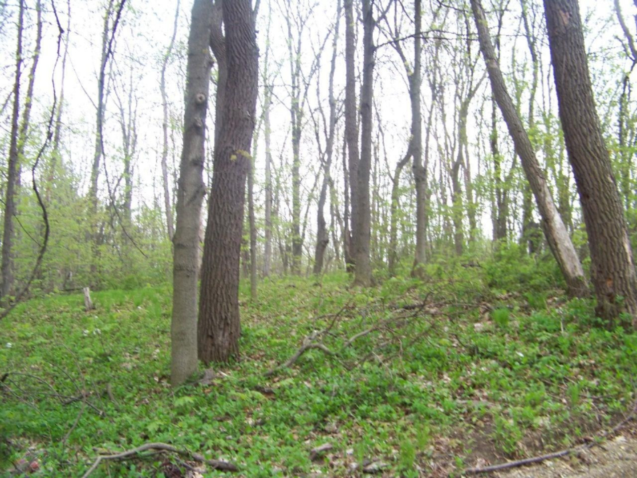 5575 Hagar Place Property Photo 1