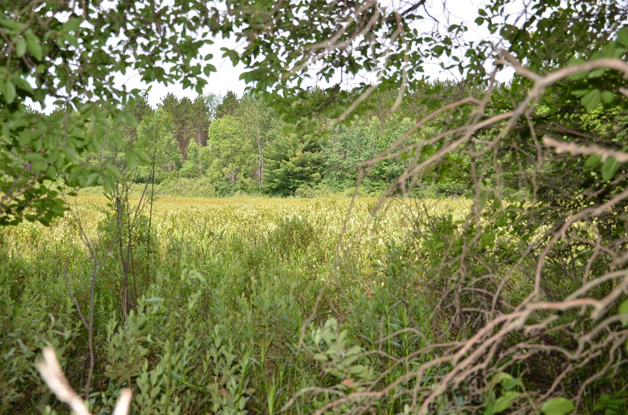 Marsh Road Property Photo 3