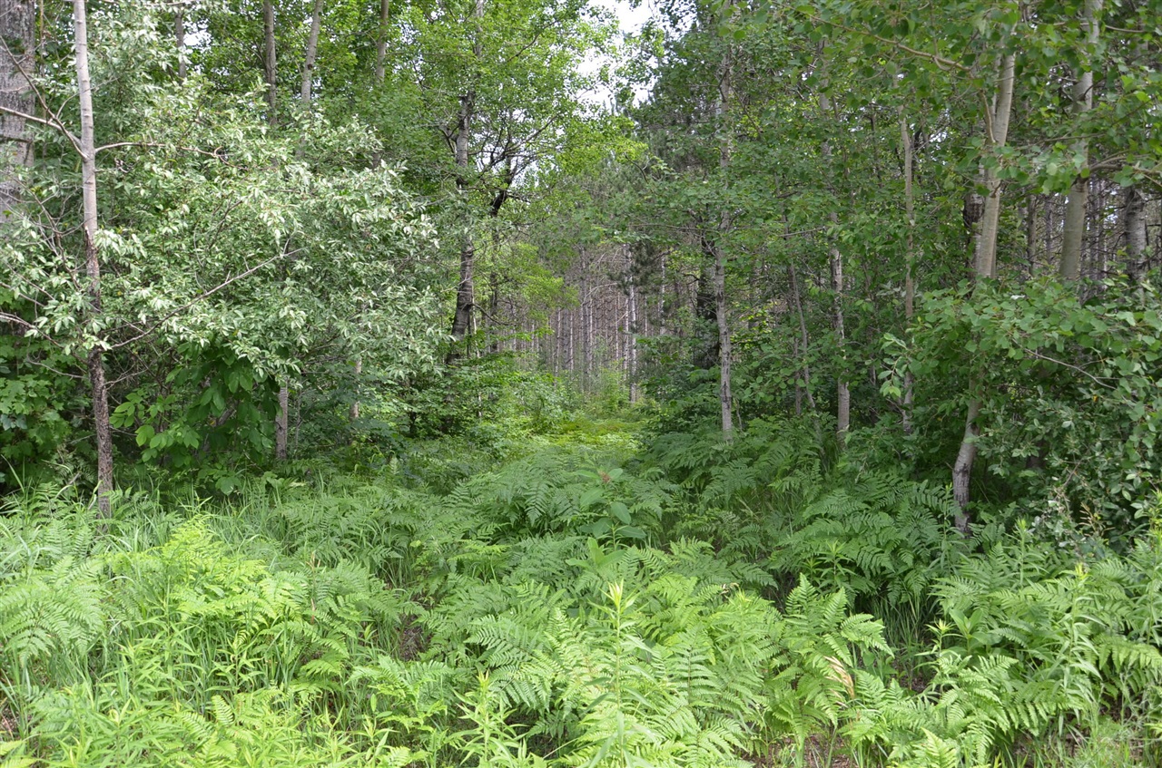 Marsh Road Property Photo 5