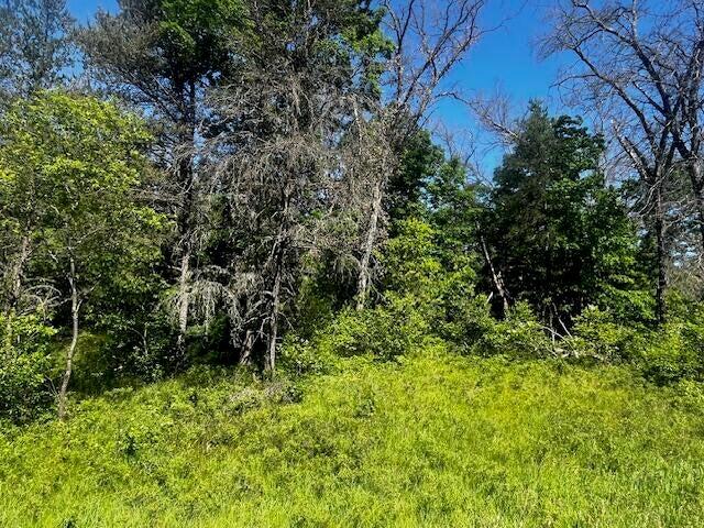 Parcel 1 M-37 Property Photo 1