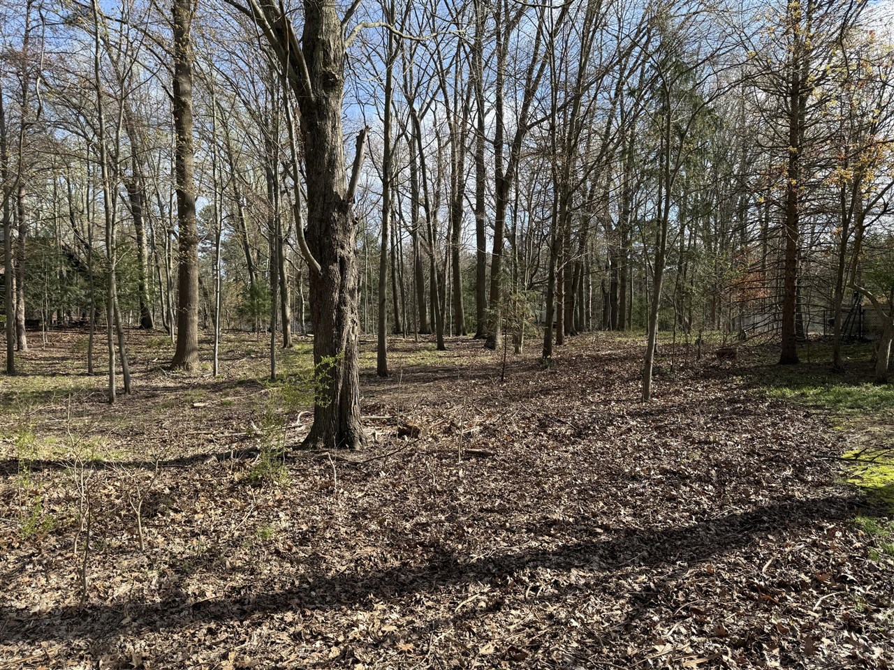 Abc Greenbush Road Property Photo 1