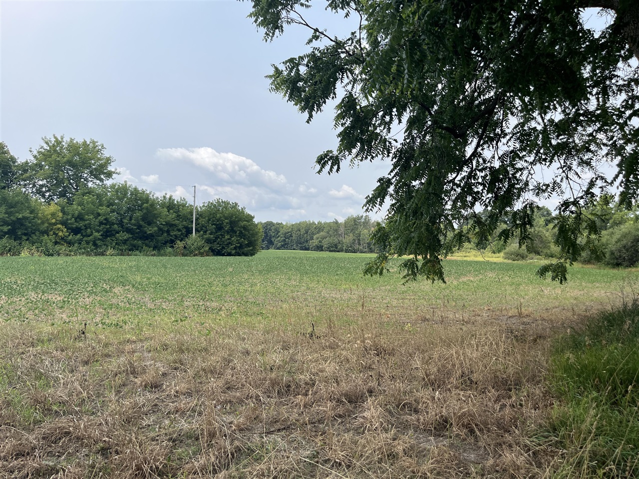2047 190th Avenue Property Photo 1