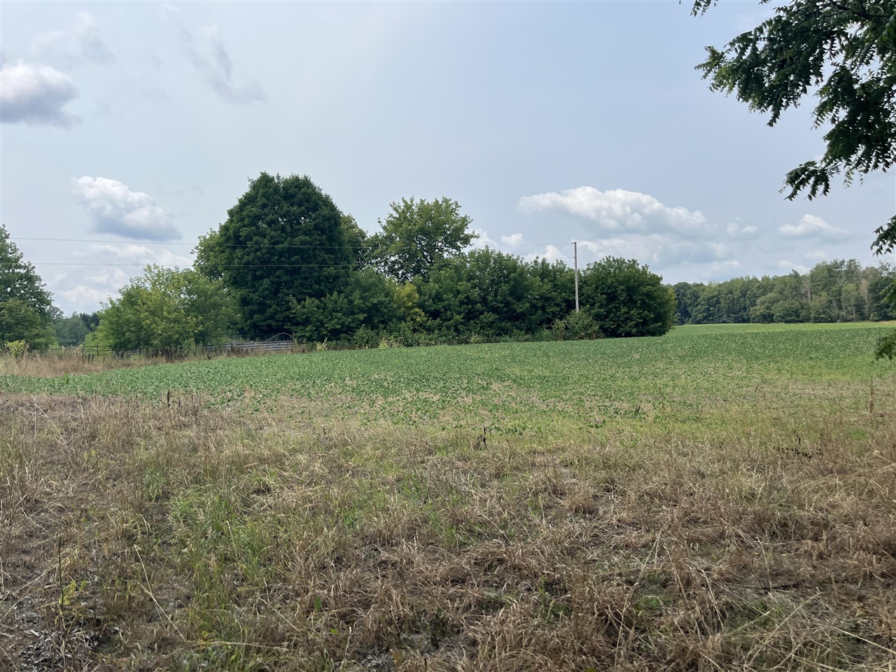 2047 190th Avenue Property Photo 2