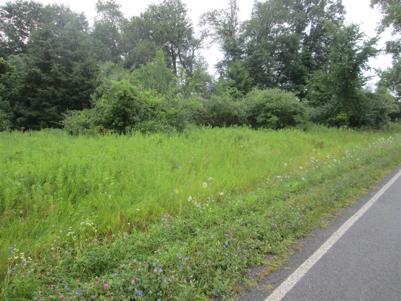 0 W Muskrat Road Property Photo 1