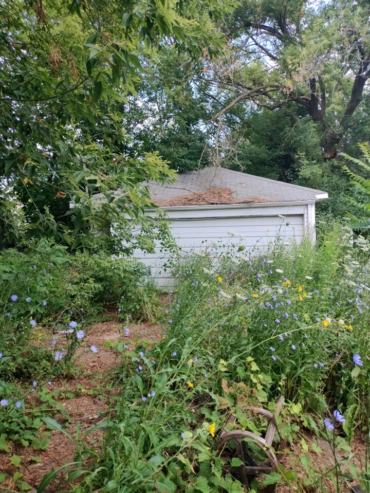 2202 Swayze Street Property Photo 3