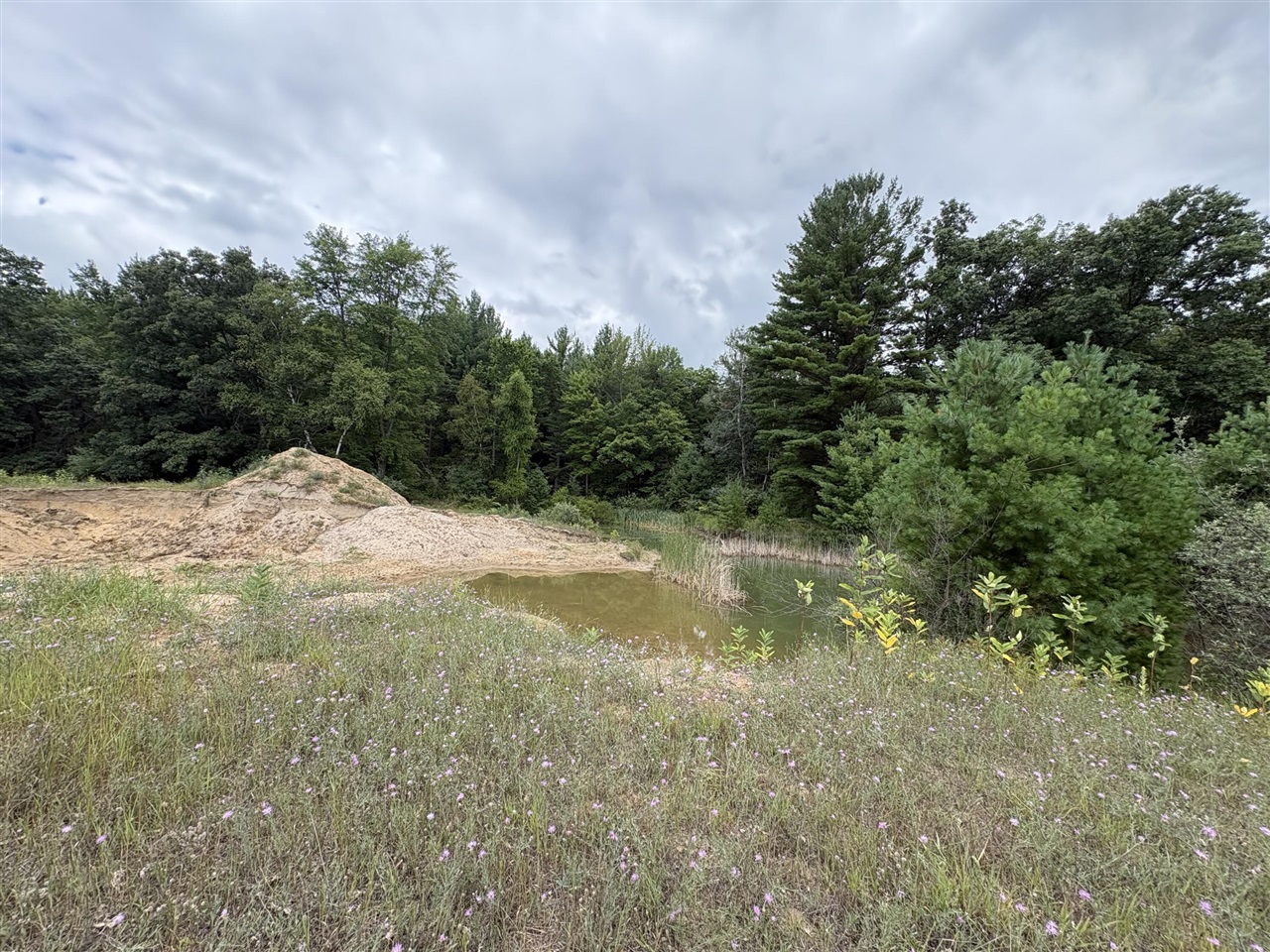 Vl 5 Mile Road Property Photo 3