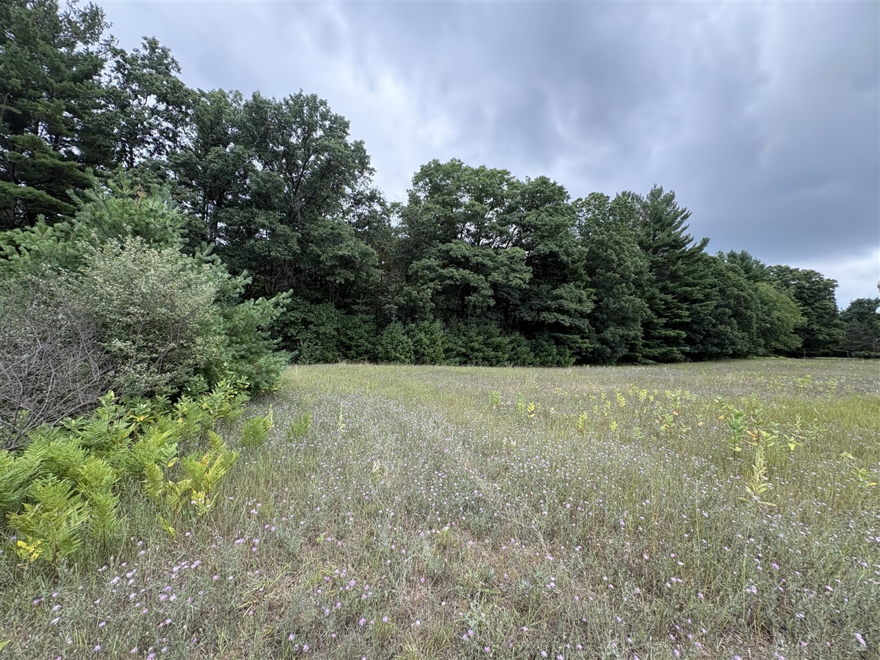 Vl 5 Mile Road Property Photo 4