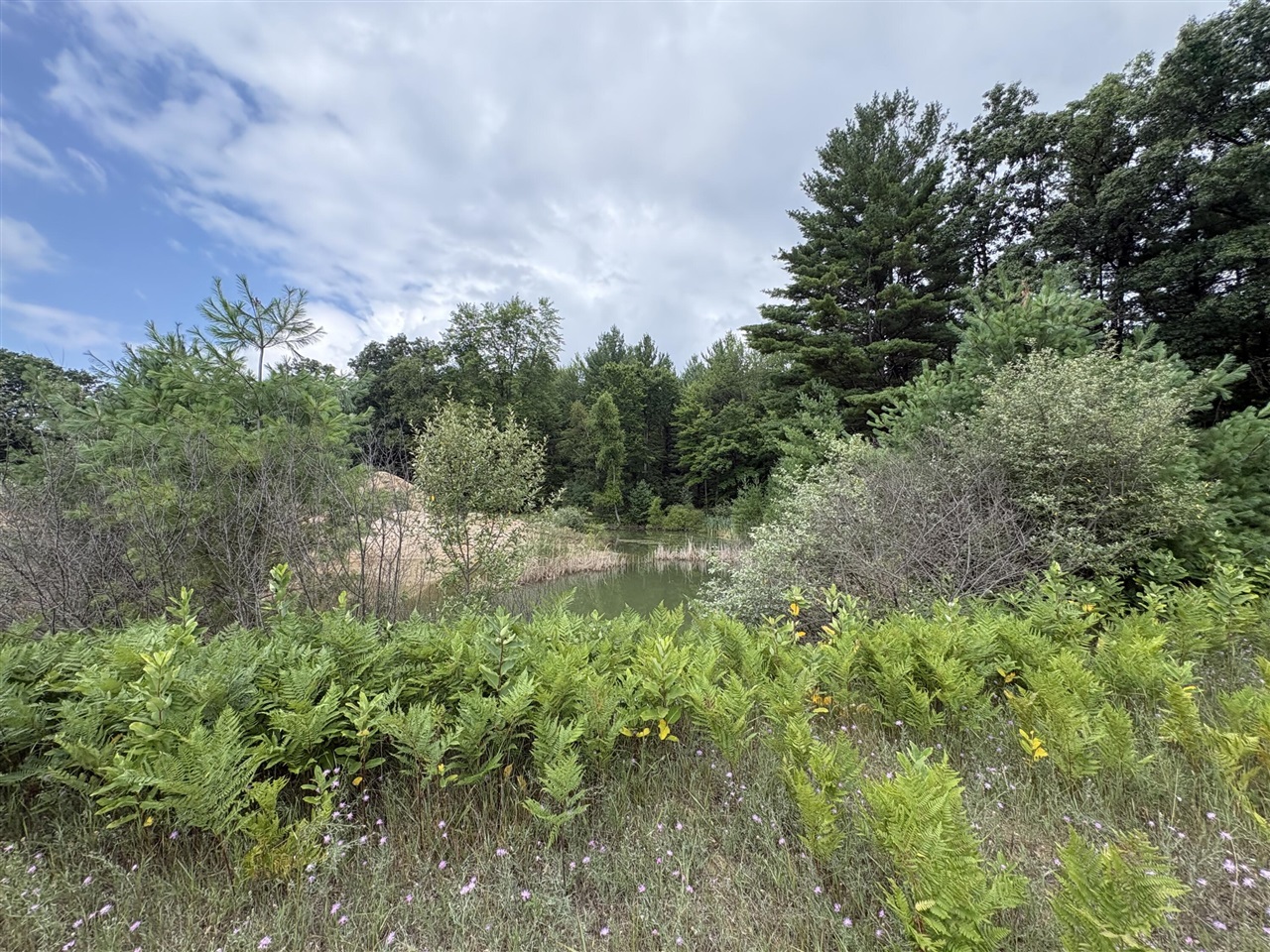Vl 5 Mile Road Property Photo 6