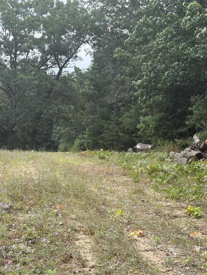 Vl 5 Mile Road Property Photo 10