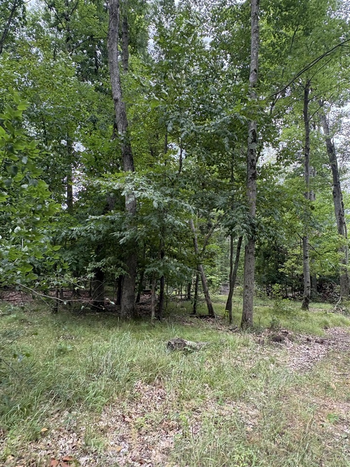 Vl 5 Mile Road Property Photo 11