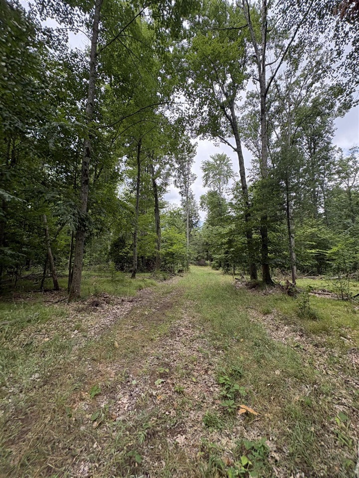 Vl 5 Mile Road Property Photo 12