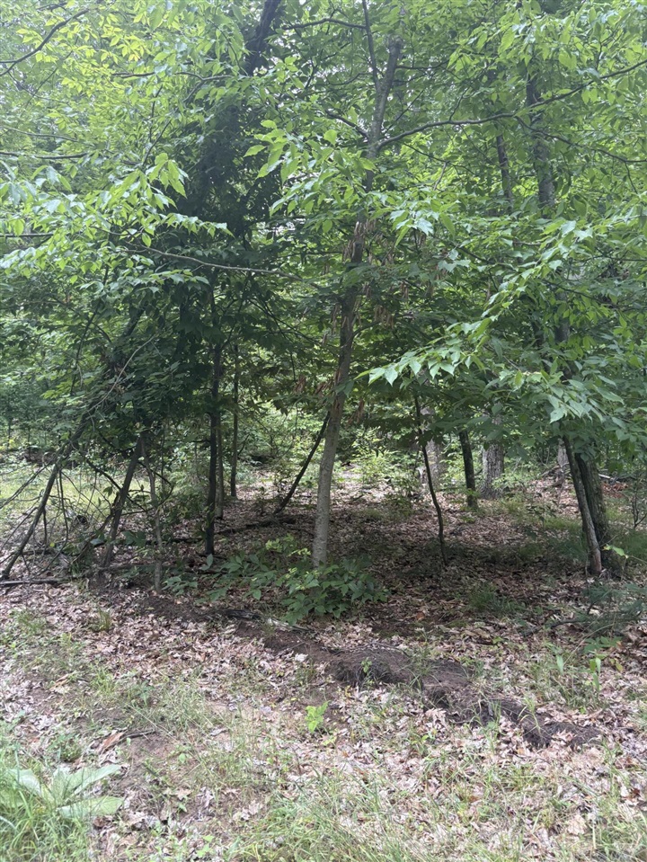 Vl 5 Mile Road Property Photo 13
