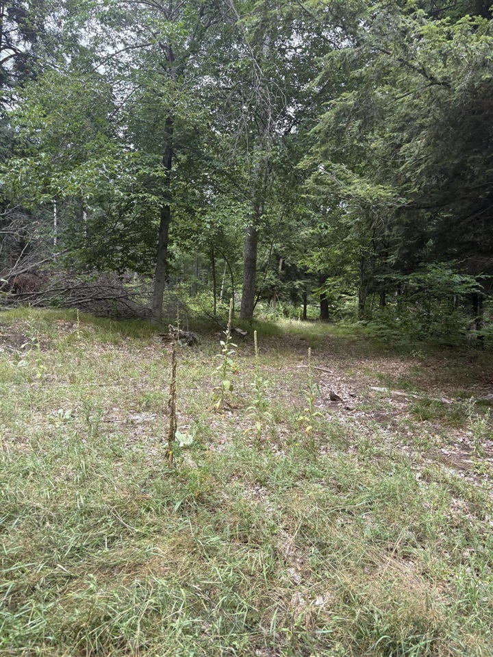 Vl 5 Mile Road Property Photo 14
