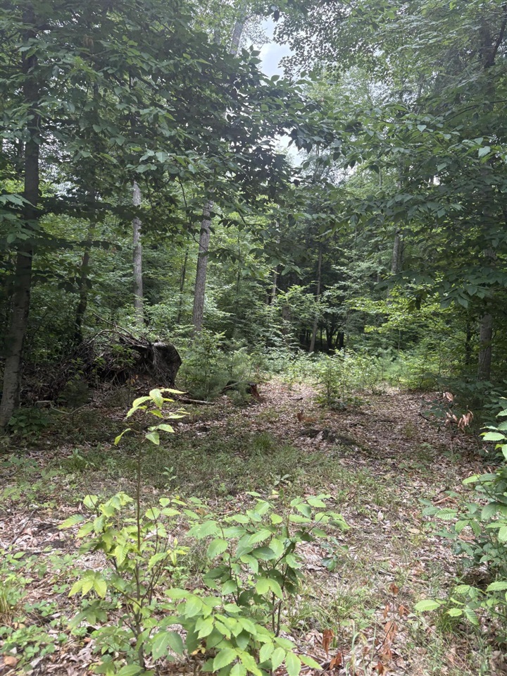 Vl 5 Mile Road Property Photo 15
