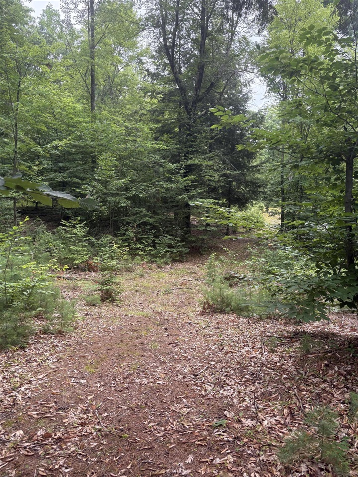 Vl 5 Mile Road Property Photo 16