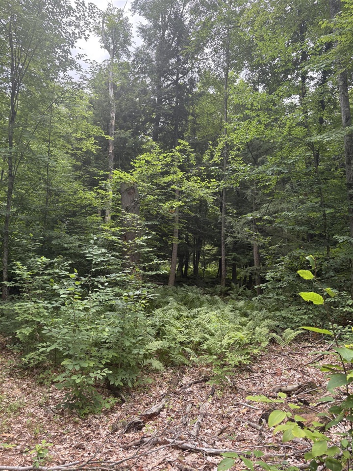 Vl 5 Mile Road Property Photo 17