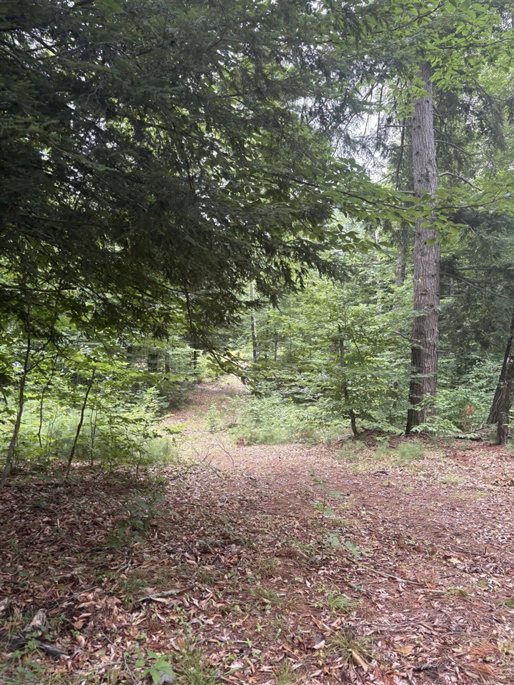 Vl 5 Mile Road Property Photo 18