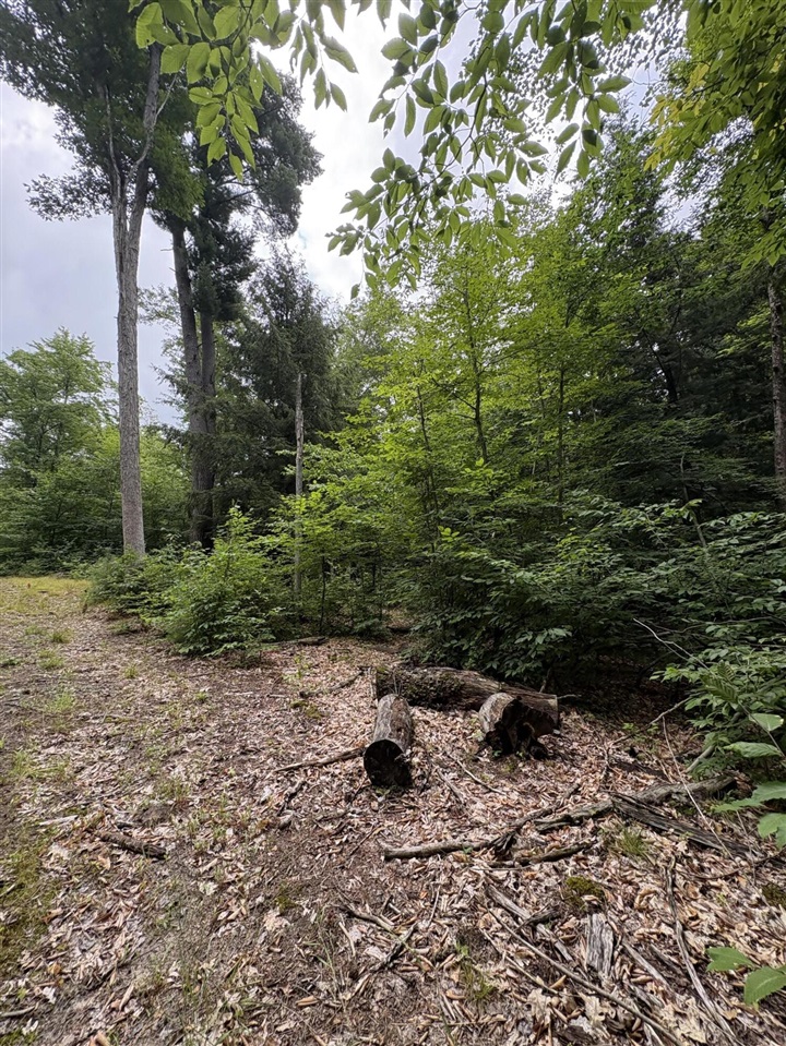 Vl 5 Mile Road Property Photo 19