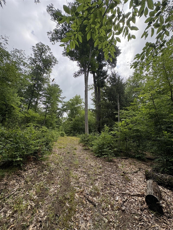 Vl 5 Mile Road Property Photo 20