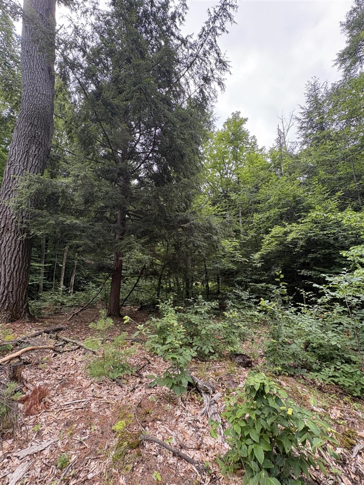 Vl 5 Mile Road Property Photo 21