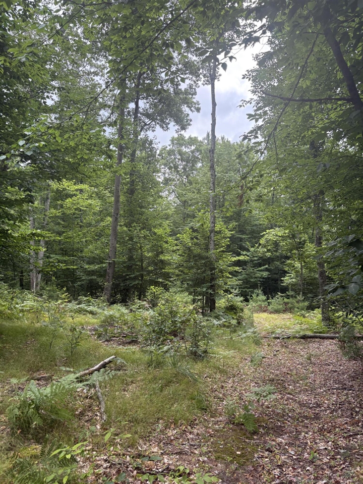 Vl 5 Mile Road Property Photo 22
