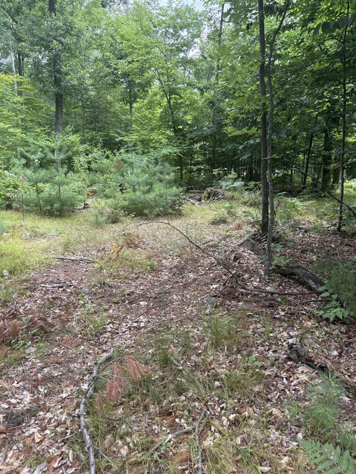Vl 5 Mile Road Property Photo 24