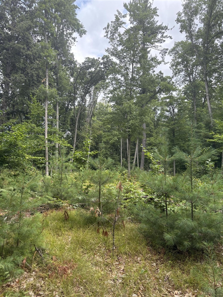 Vl 5 Mile Road Property Photo 25