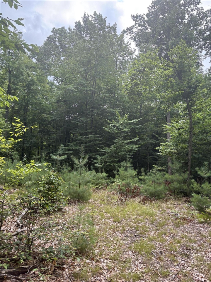 Vl 5 Mile Road Property Photo 26
