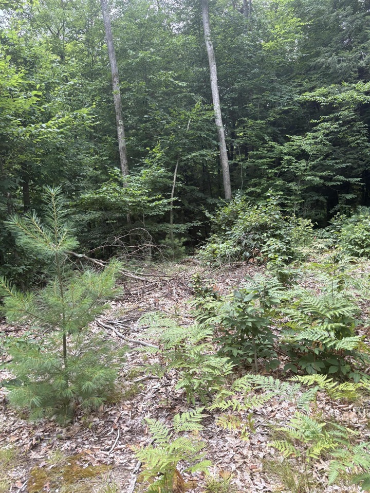 Vl 5 Mile Road Property Photo 27
