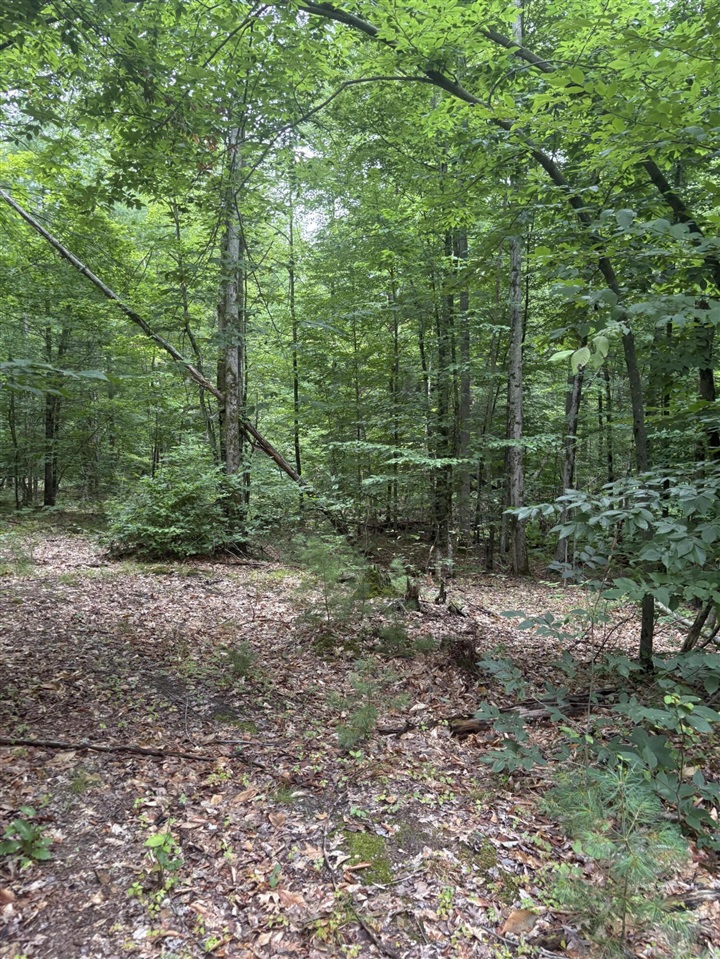 Vl 5 Mile Road Property Photo 28