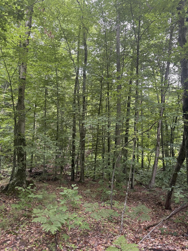 Vl 5 Mile Road Property Photo 30