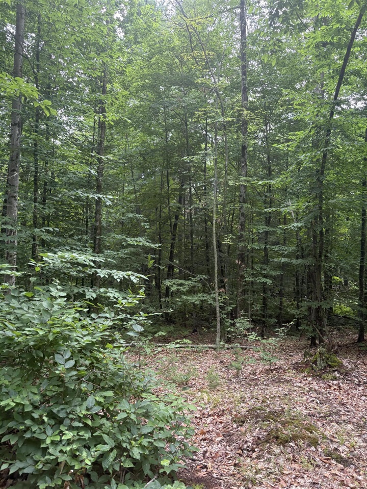 Vl 5 Mile Road Property Photo 31