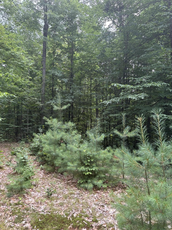 Vl 5 Mile Road Property Photo 32